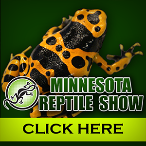 MN Reptile Show