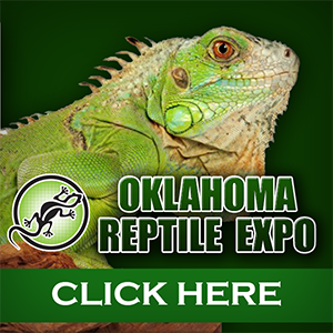 OK Reptile Expo